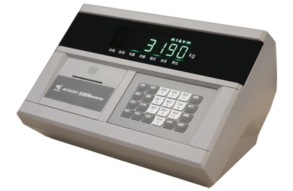 DS-10耀華儀表